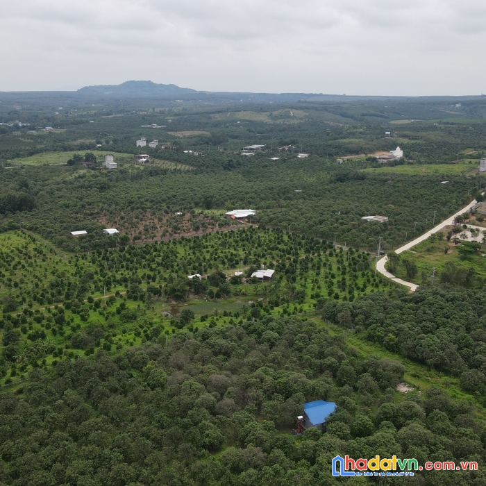 Bán lô đất 1000m2 sổ riêng liên hệ 0935166466 (call or zalo)