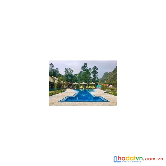 Chuyến nhượng khu du lịch sinh thái đảo cát bà