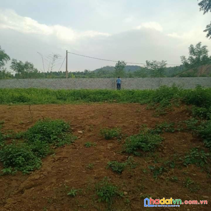 Bán gấp lô đất nghỉ dưỡng siêu đẹp, giá siêu rẻ...
chỉ 1,7tr/m2...