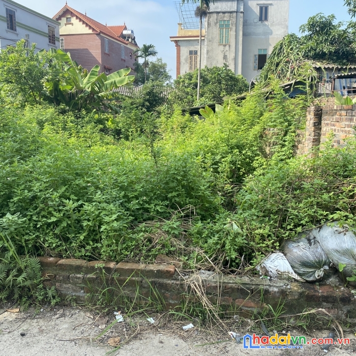 Chỉ nhỉnh 1 tỉ có 45m2 tại cổ miếu - thụy lâm - đông anh - hn. đường 5m thông thoáng ô tô vào tận