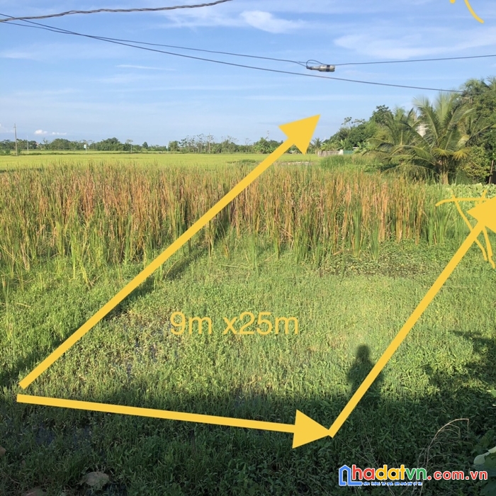 Chính chủ cần bán 2 lô đất liền kề thổ cư tại đường 10 xã hoằng xuyên hoằng hóa thanh hóa
