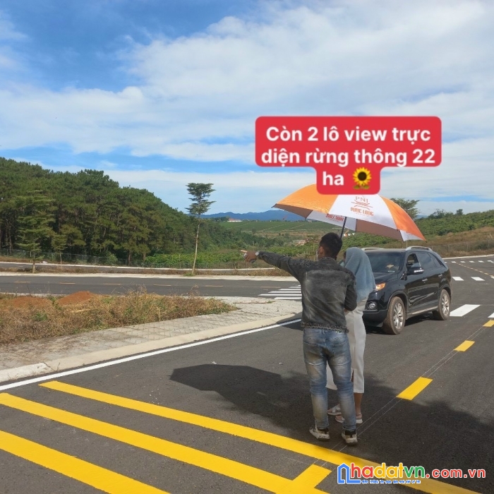 Kẹt tiền bán gấp- đất lộc tân full thổ cư 256m2