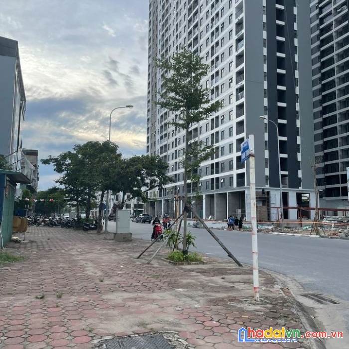 Bán đất trâu quỳ, gia lâm đường thông rộng 5m dt 56m2 giá 4tỷ. lh 0969346836
