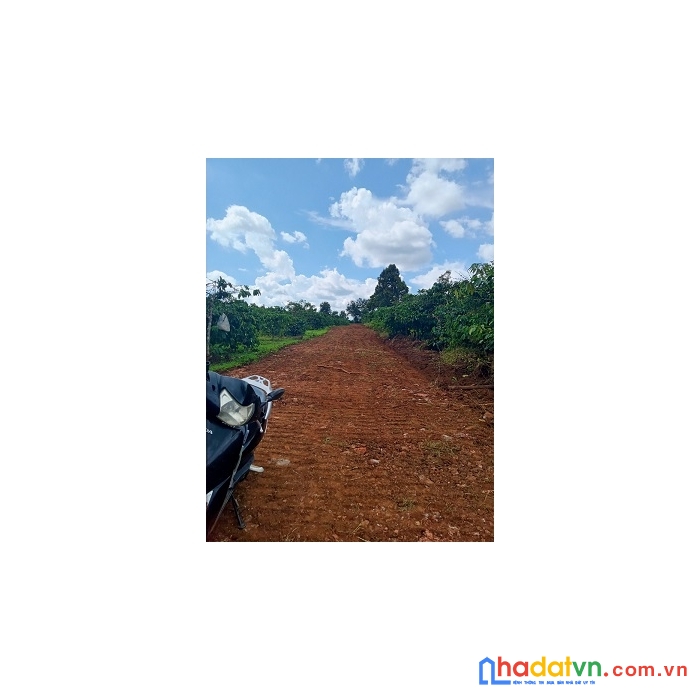 Chính chủ cần bán lô đất tại thôn 1 xã diên phú - pleiku - gialai