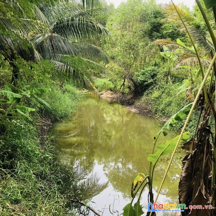 Đất chính chủ cần bán tại thị trấn củng sơn_sơn hoà _phú yên.