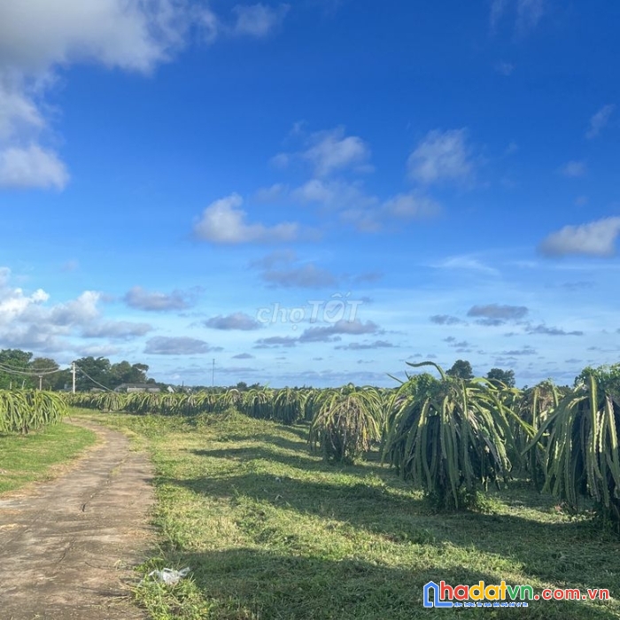 Đất chính chủ gần khu du lịch dinh thầy thím, xã tân tiến, thị xã la gi, bình thuận