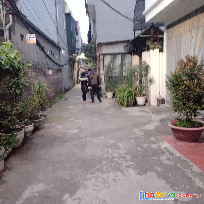 Phân lô, sổ vuông, diện tích khủng  mạc thị bưởi 50m2 chỉ 3 tỷ