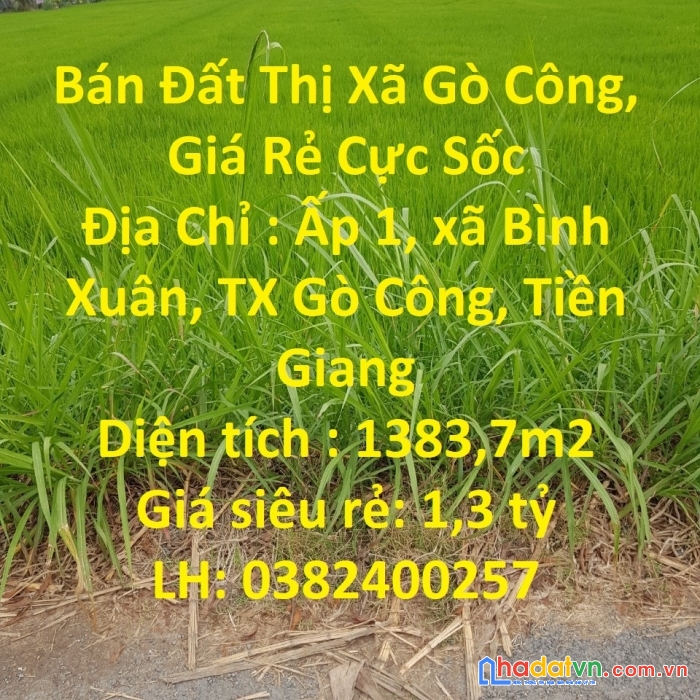 Bán đất thị xã gò công, giá rẻ cực sốc