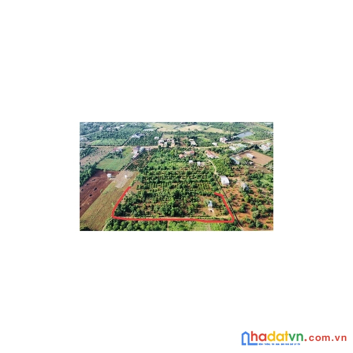 Cần bán đất nền đẹp thị trấn eakar, đắk lắk