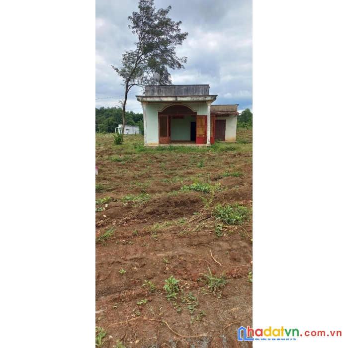 Bán đất tặng nhà ngay mặt tiền đường nhựa tại tân hưng