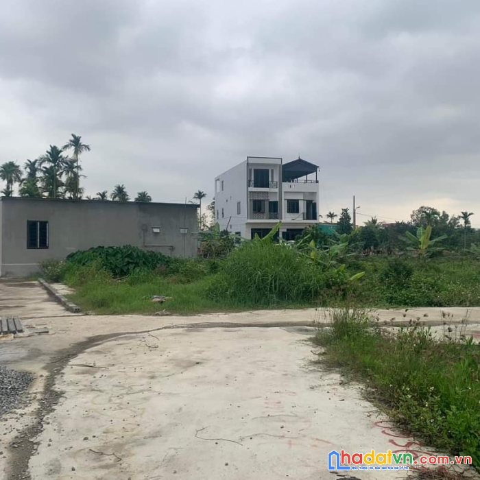 Tdp 9 hòa nghĩa dương kinh hp giá chi có 850 tr