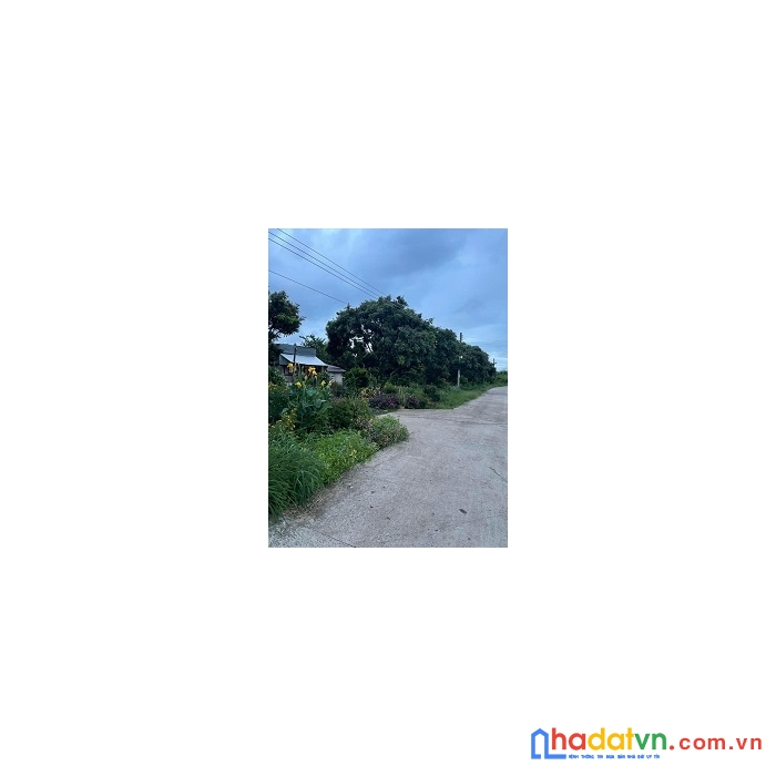 Chính chủ bán đất đẹp không ảo giá sai hình - sai vị trí tặng luôn đất ở lộc ninh- bình phước