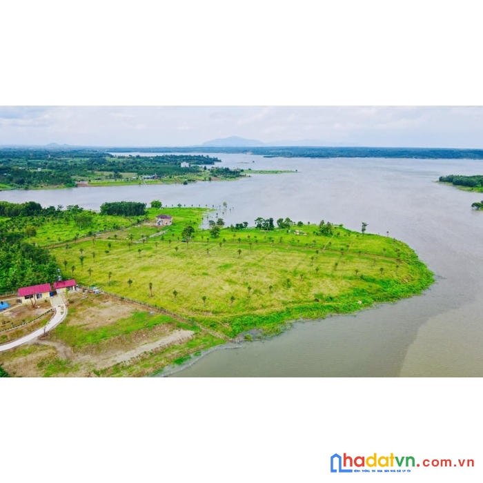 Gia đình tôi có hơn 3000m2 đất lên thổ cư đối diện kcn định quán cần bán