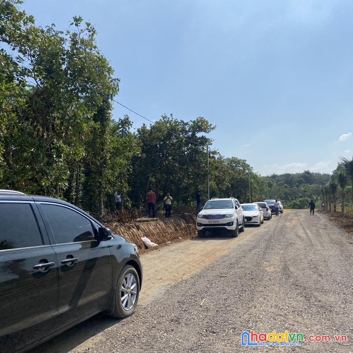 Đất vườn liền kề sân bay long thành, shr, giá chưa tới 1tr/m2