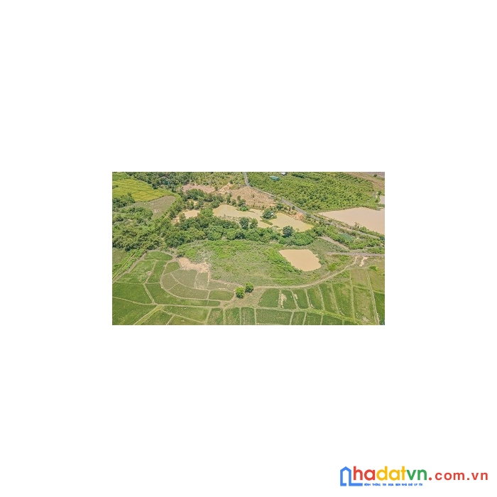 View suối tại buôn đôn ngay tỉnh lộ siêu đẹp và thơ mộng!!!