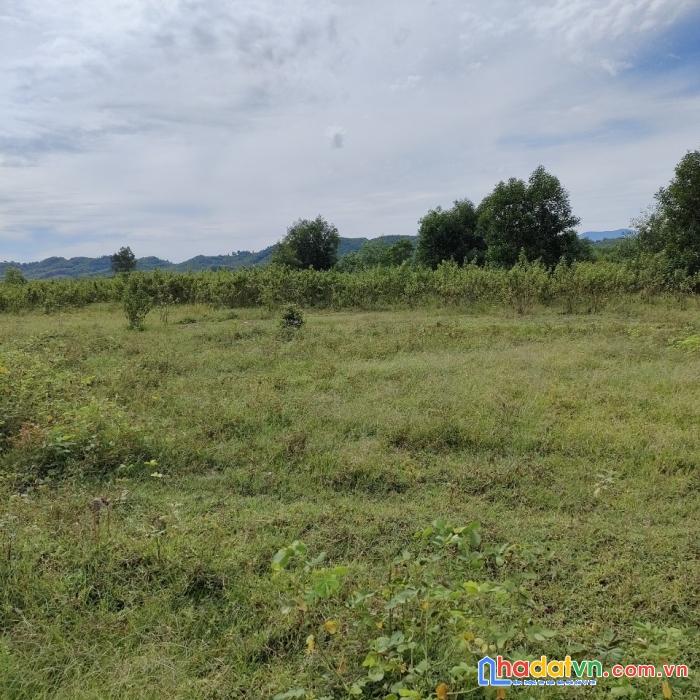Hót hót hót - đất đẹp giá rẻ tại diên đồng diên khánh tỉnh khánh hoà