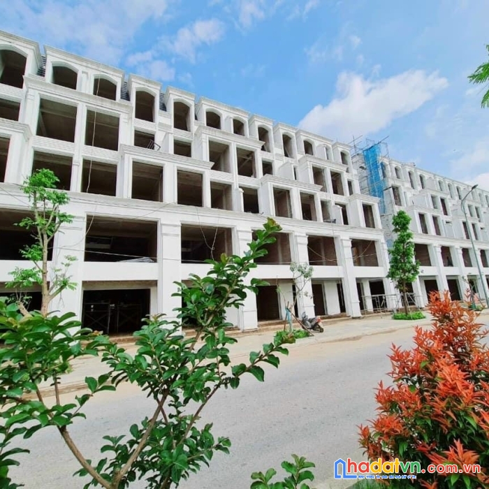Bảng hàng chuyển nhượng ngoại giao shophouse, liền kề, biệt thự dự án hinode royal park - kim