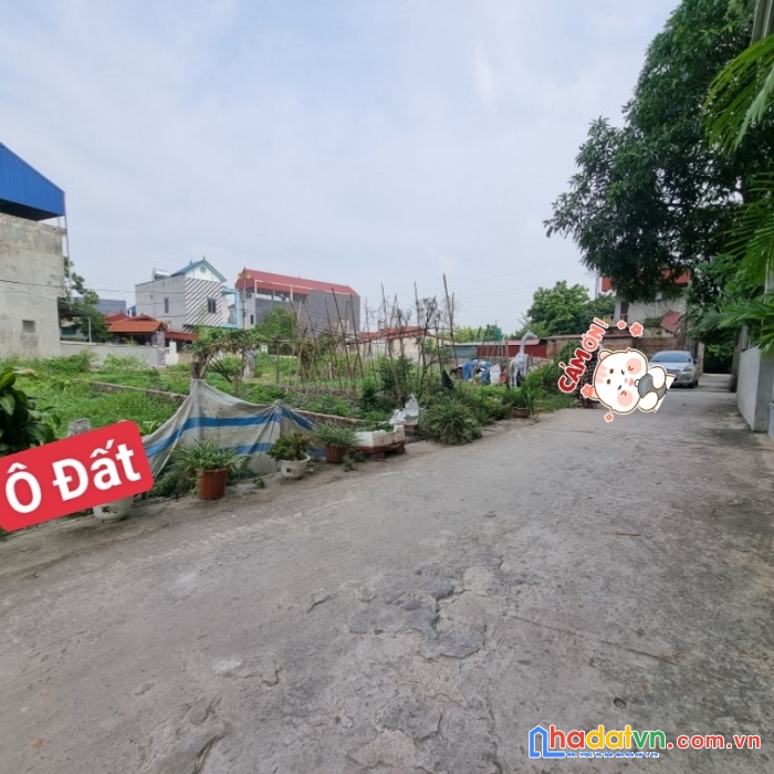 Chủ đất cần tiền bán gấp lô đất tại : đông lai quang tiến sóc sơn