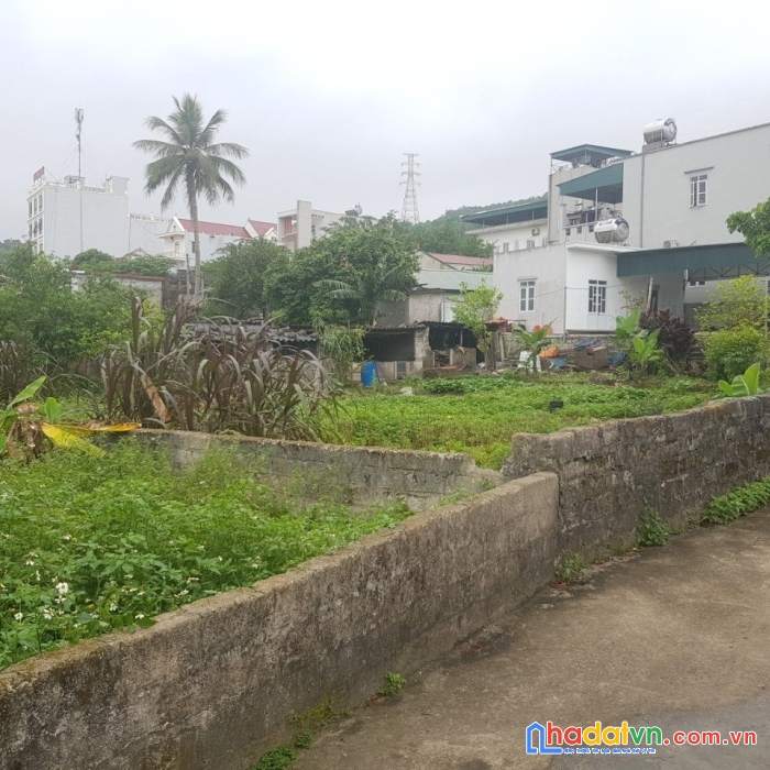 Đất sinh lời cao gần kđt đẹp nhất vân đồn, diện tích 312.4m2.