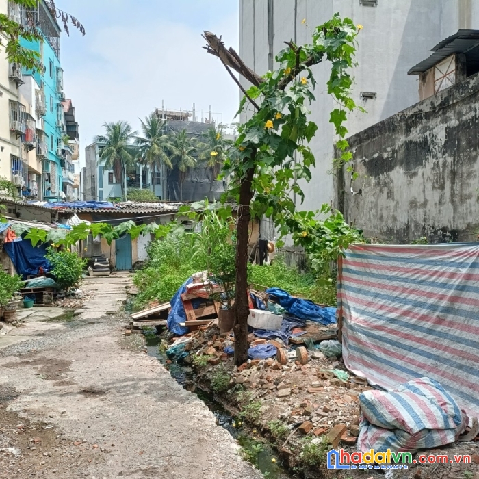 Siêu hiếm, cực hot đất - cầu giấy - ô tô tránh chỉ 8xtr/m2 ô tô tránh