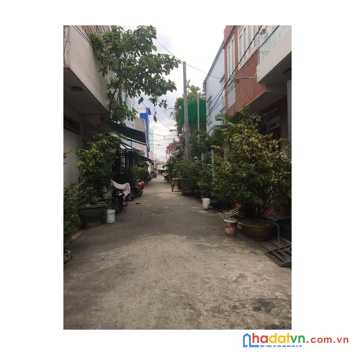 Chân dài ao đôi bình tân, có dòng tiền vào mỗi tháng, hẻm nhựa 5m 1 trục, chỉ 3.85 tỷ.