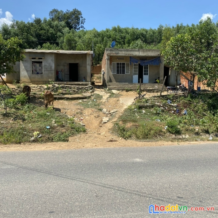 Bán đất mặt tiền hl62 yang bay khánh phú, khánh vĩnh