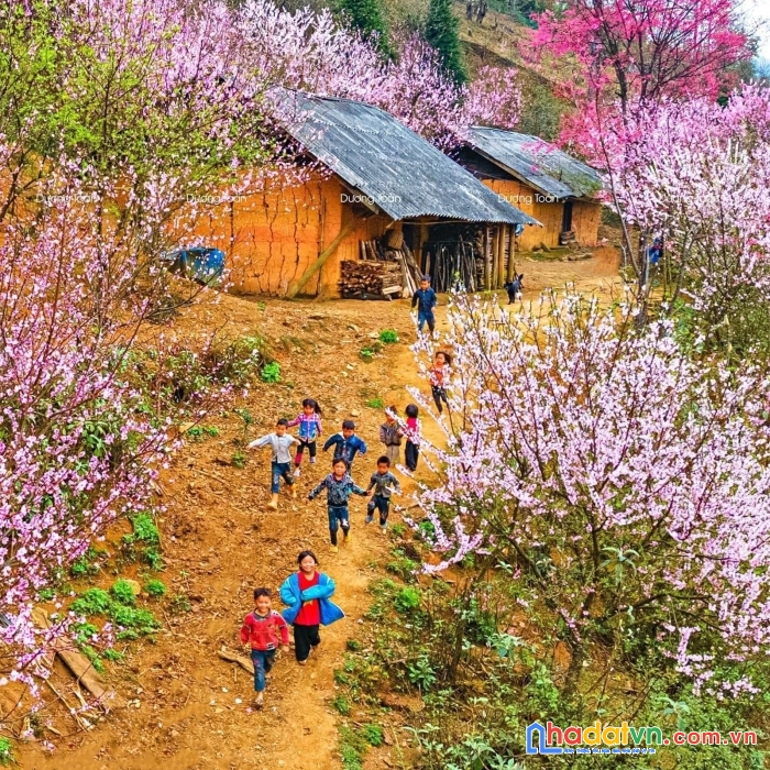 [tin hot:chưa tới 1 tỷ có ngay mảnh đất sapa]