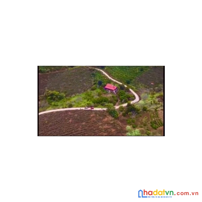 Mảnh đất 4219.5m2, có 200m thổ cư view đồi chè  nằm tại chiềng sơn - mộc châu - sơn la