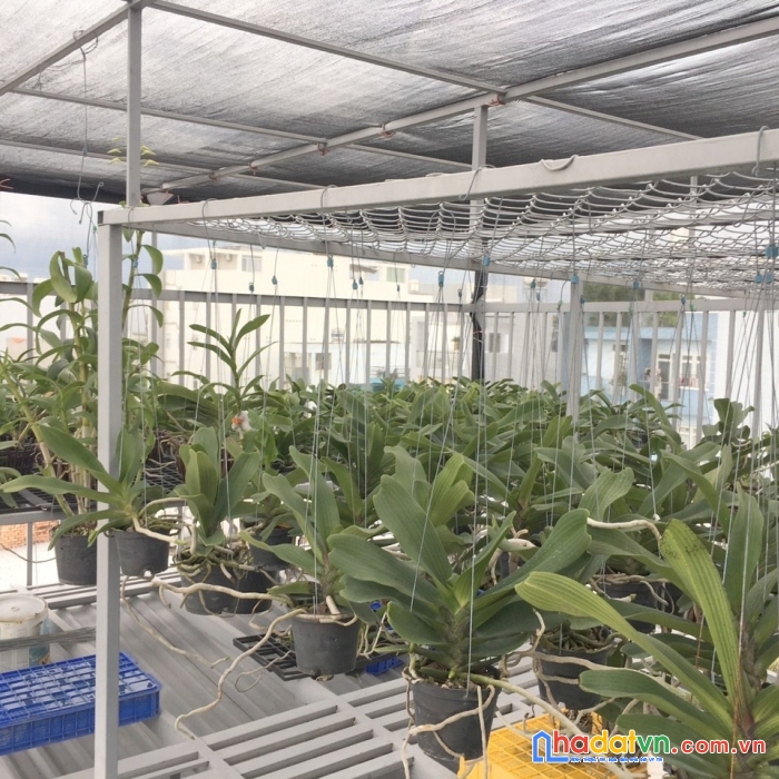 Chính chủ lâu đời chưa kd,50m2,3 tầng btct,hẻm 3m, ngay lote,n.v.lượng , gò vấp.