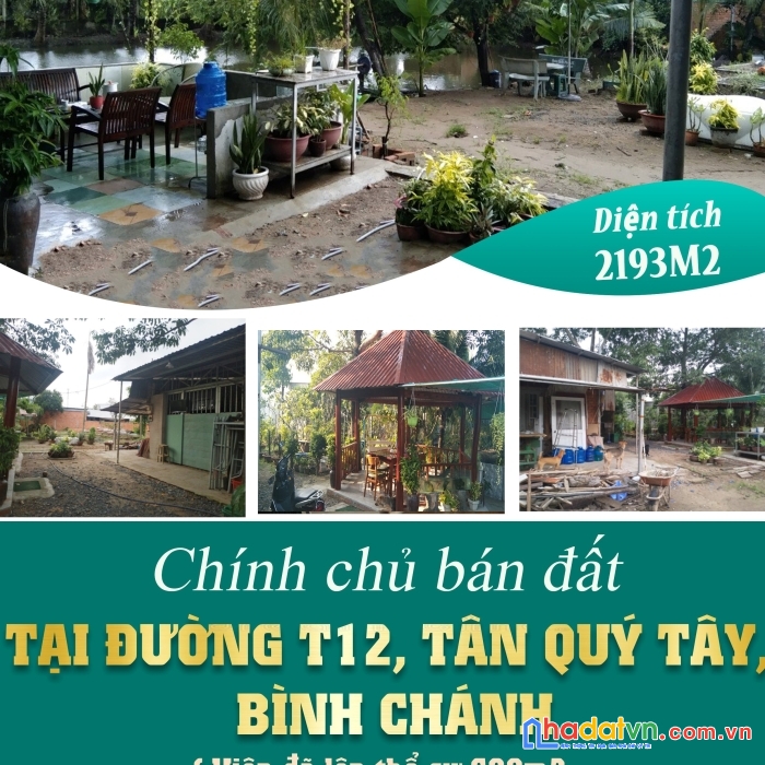 Bán đất 2193m2 đường t12, tân quý tây, bình chánh