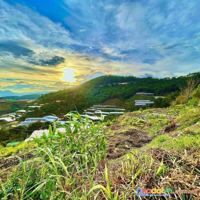 Bán đất xuân thọ view đẹp thích hợp mở quán cafe homestay