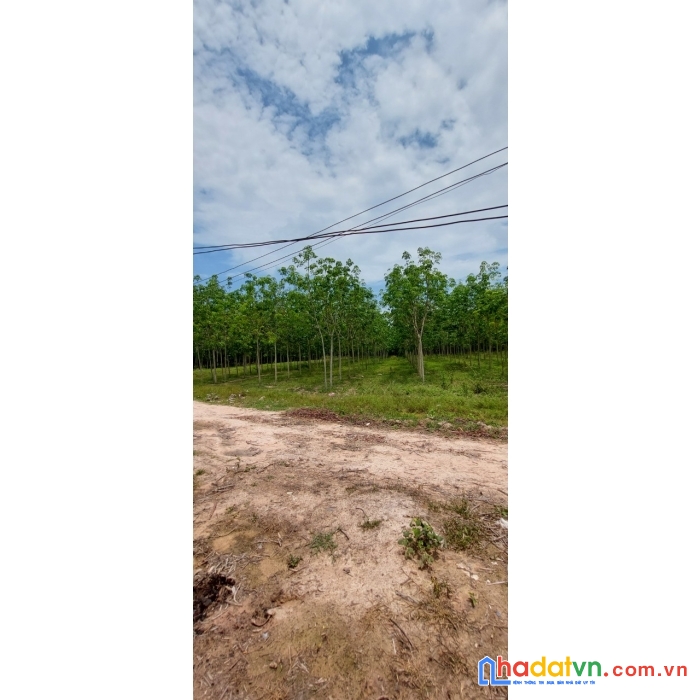 Chính chủ chính chủ cần bán đất 2 mặt tiền