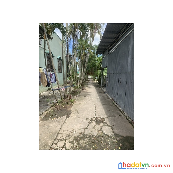 Chính chủ bán lô đất mặttiền đường 871 - kiểng phước - gò công đông - tiền giang.