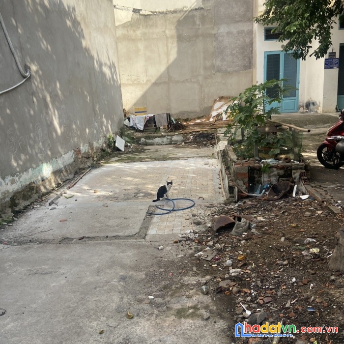 Bán gấp đất 80/11 nguyễn văn trỗi, p8, q.phú nhuận giá rất rẻ bao gpxd