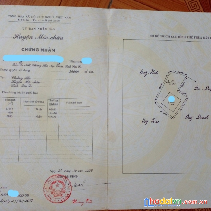 Đất mộc châu - mảnh đất có vườn cây ăn quả, gần ql6 có sắn 1 ngôi nhà nhỏ và rất nhiều cây ăn quả