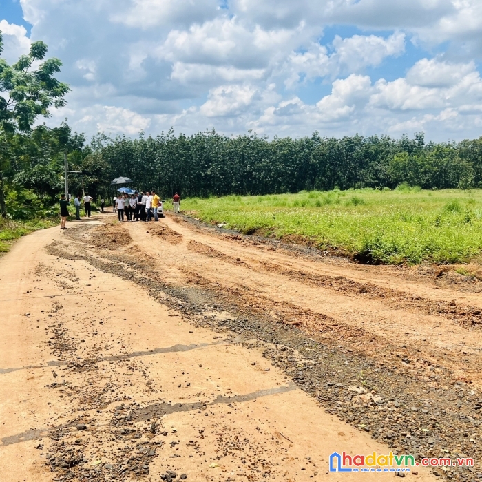 Sở hữu ngay lô đất đẹp vị trí đắc địa tại huyện phú riềng, bình phước