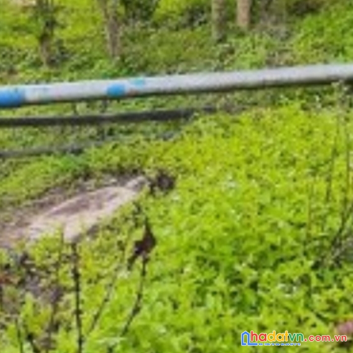 Chính chủ cần bán gấp lô đất đẹp giá siêu đầu tư tại đam rông lâm đồng