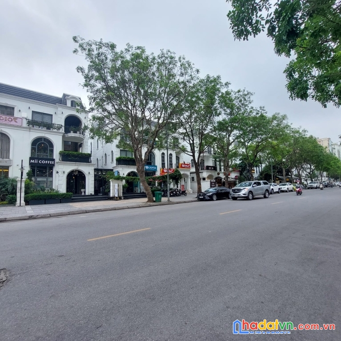 Bán nhanh biệt thự hoa phượng 250m2, 49tỷ  vinhomes riverside 0909858789