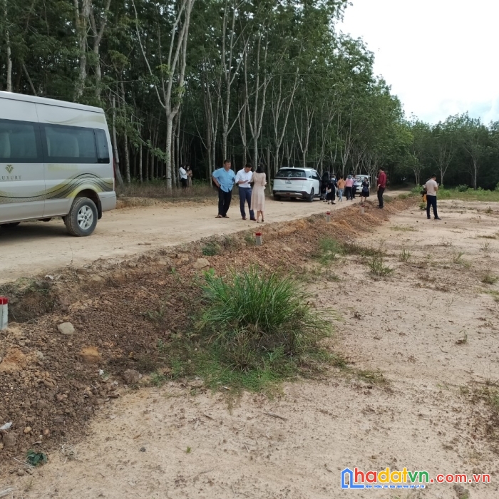 Đât thị trấn đồng nơ ..680 triệu.... 235 m2 có 100m tc. sổ hồng sẵn , bao sang tên công chứng.