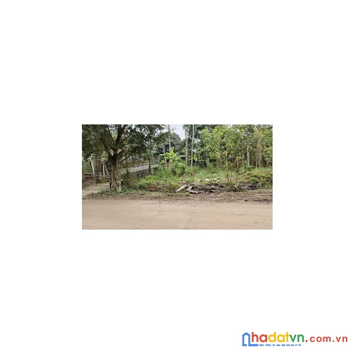 Chính chủ cần bán gấp lô đất ở an phú mỹ đức hà nội