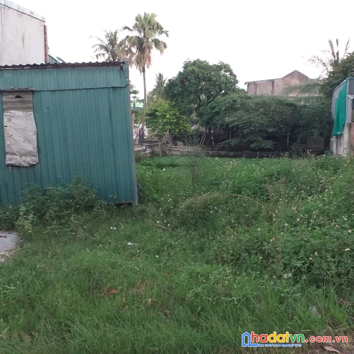 Cần bán đất chính chủ tại xã quảng yên – giá f0 siêu rẻ