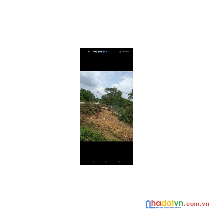 Chính chủ cần bán đất địa chỉ : xóm 5 xã nghi đồng nghi lộc nghệ an