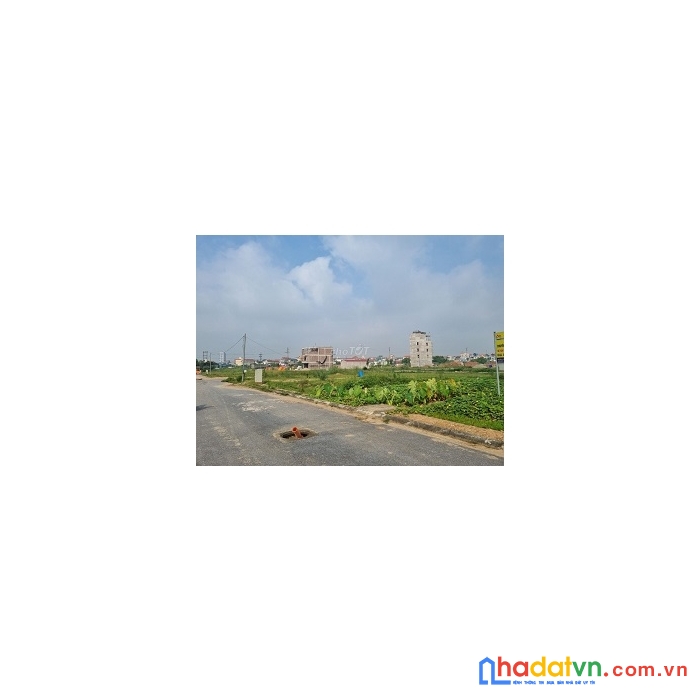 Cho thuê nhà xưởng hoặc đất dựng xưởng