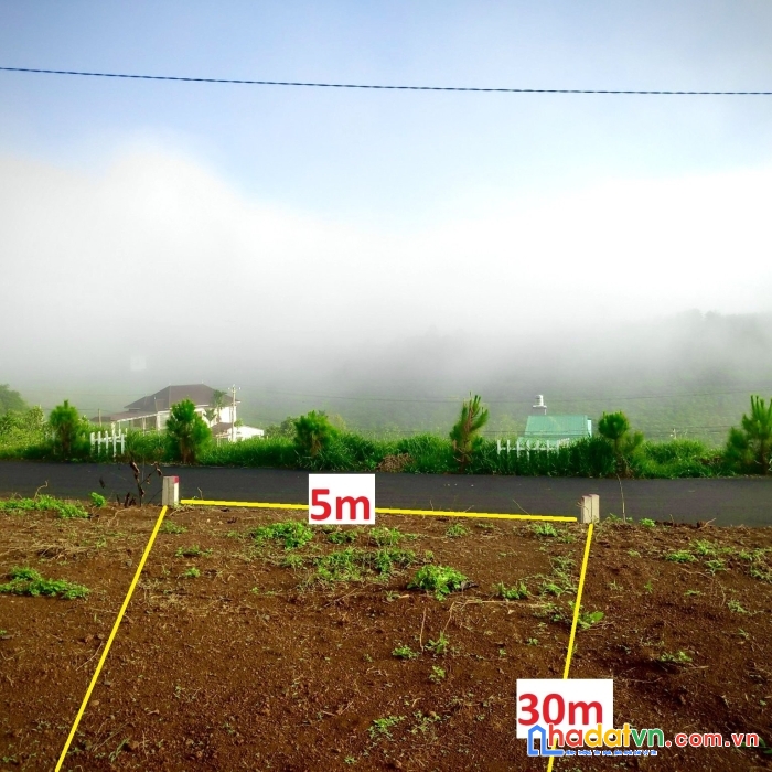 View săn mây, giá 1 tỷ, ngân hàng cho vay 60%