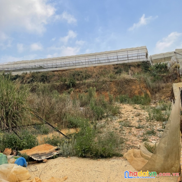 Cần bán gấp đất nền view đẹp đường huỳnh tấn phát, đà lạt 500m2 giá chỉ 4.3 tỷ
