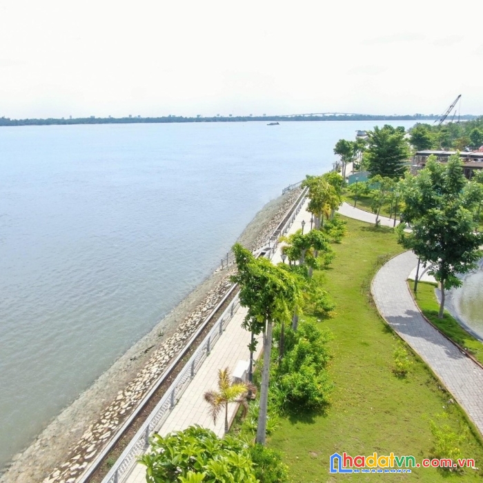 Rổ hàng độc quyền dự án fenice mặt tiền vành đai 3