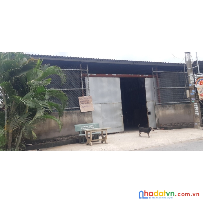 Cho thuê nhà nguyên căn  cấp 4 tại 89 ,đường tân long âp 4 xã tân nhựt huyện bình chánh,