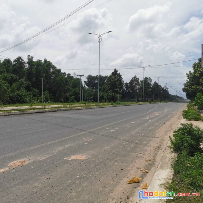 Mặt tiền nguyễn hữu cảnh - nhơn trạch.giá đầu tư sinh lời