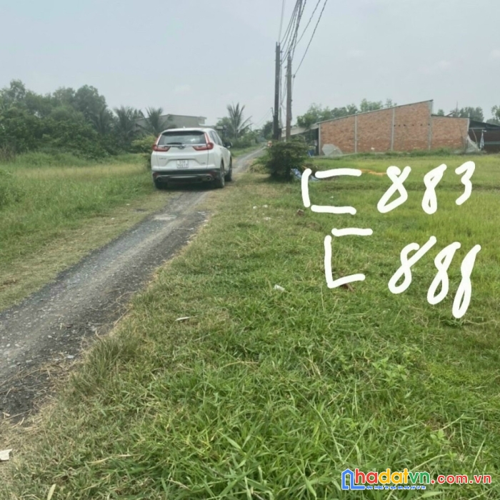 Bán mảnh đất tại ấp lập thành, xã hòa khánh tây, đức hòa, long an lh 0338089140