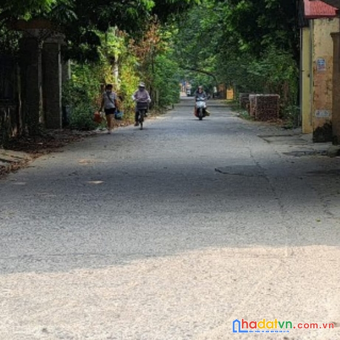 Bán đất tập thể yên viên gia lâm 110m mt 6m 5 tỷ/0904264580.